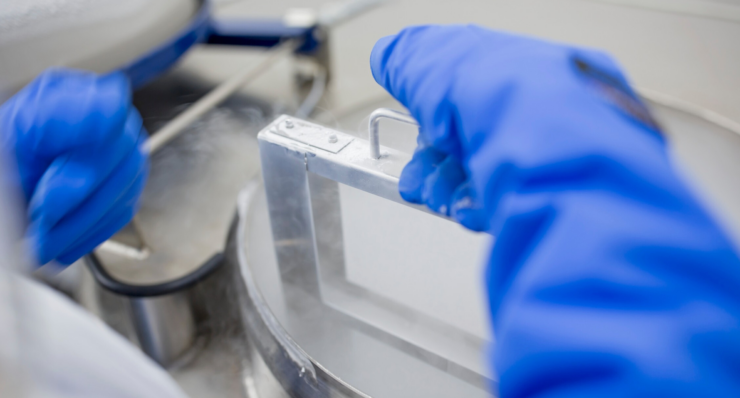 Congelamento de Óvulos