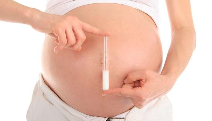 Fertilização e Inseminação: Qual a diferença?